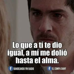 Meet your Posher, Fredi